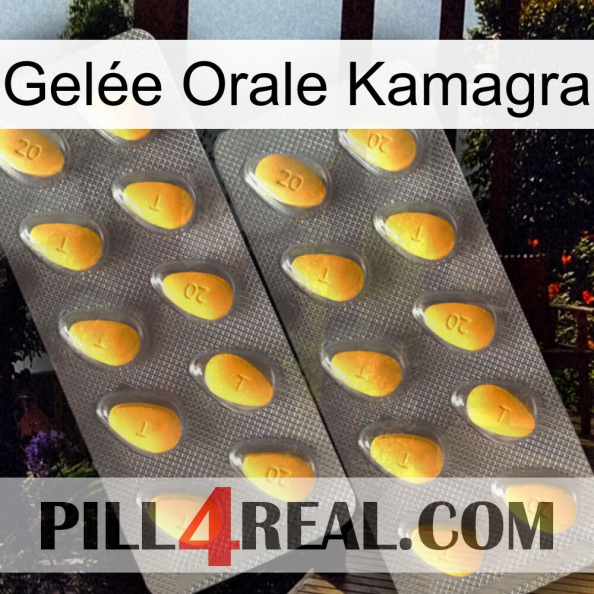 Gelée Orale Kamagra cialis2.jpg